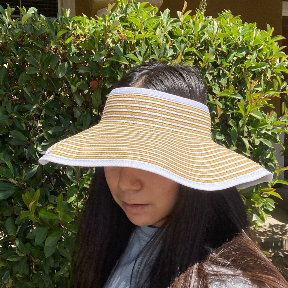 Visor